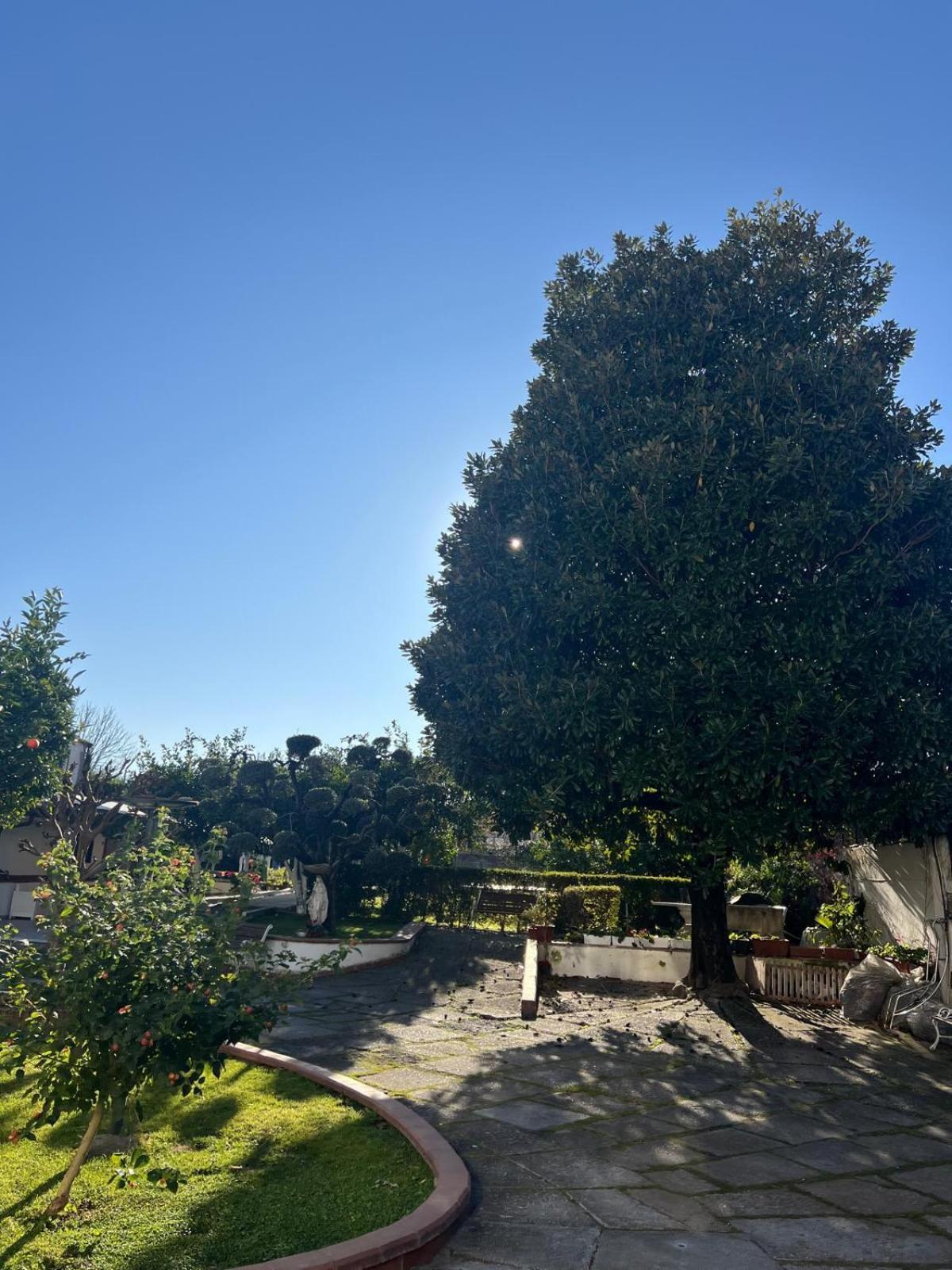 Maison Aielli 112 San Giuseppe Vesuviano المظهر الخارجي الصورة